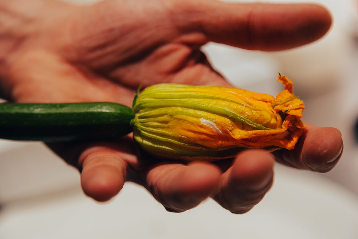 Galer&iacute;a | Restaurante de tapas